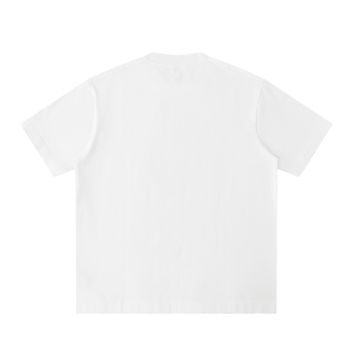 Disciples Vintage Wash Distressed Tee